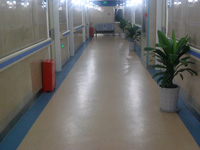 �t�����ȷ��ֿ͑�����